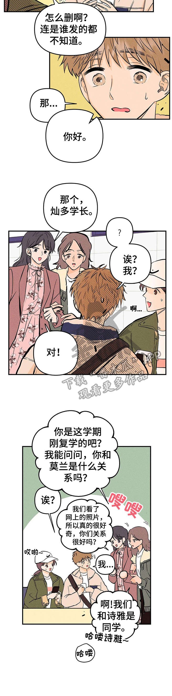 第12章：调查
