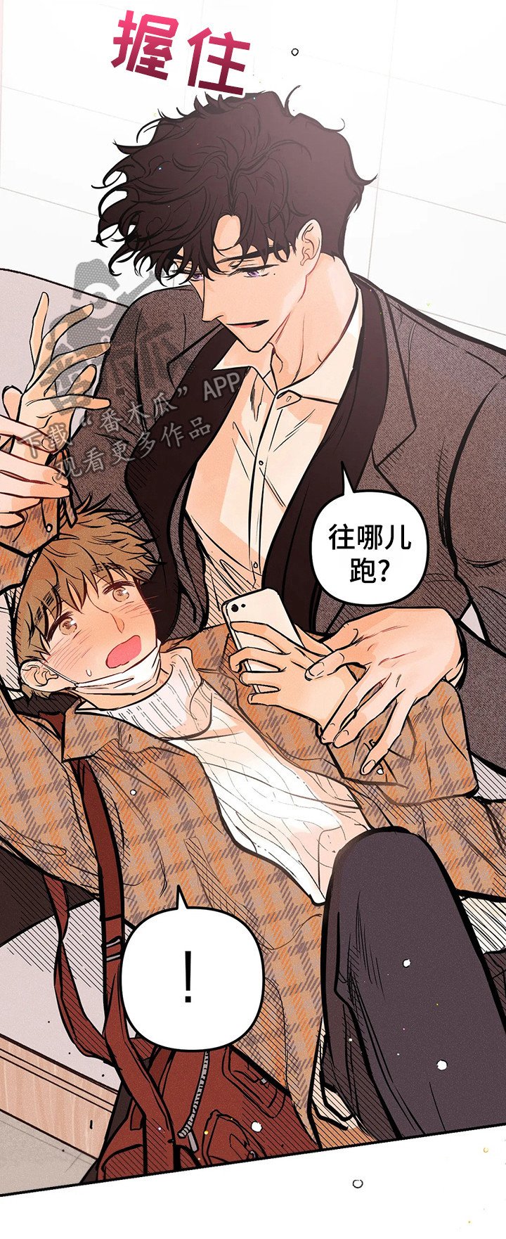 第21章：解释