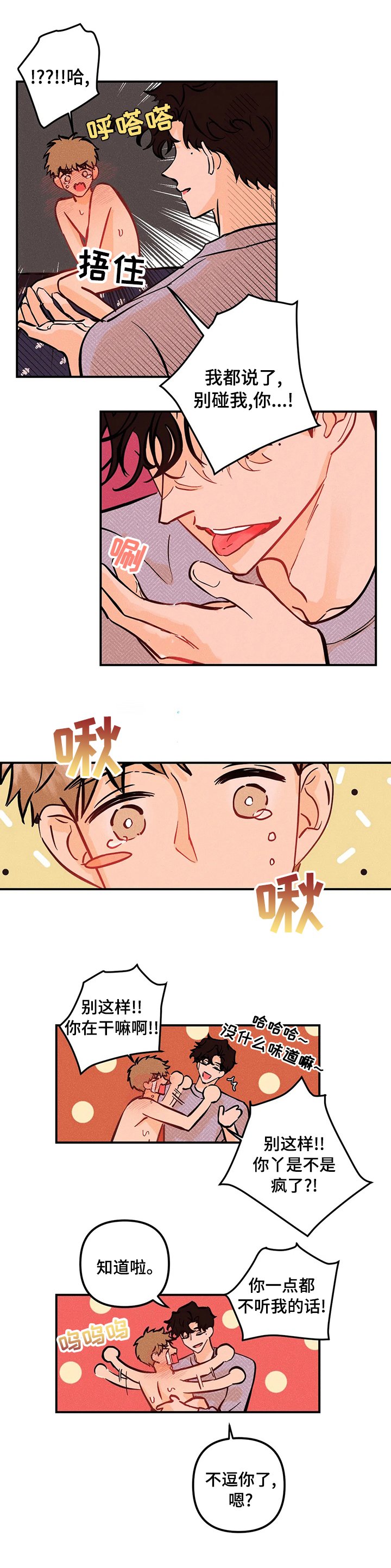 第37章：小松鼠