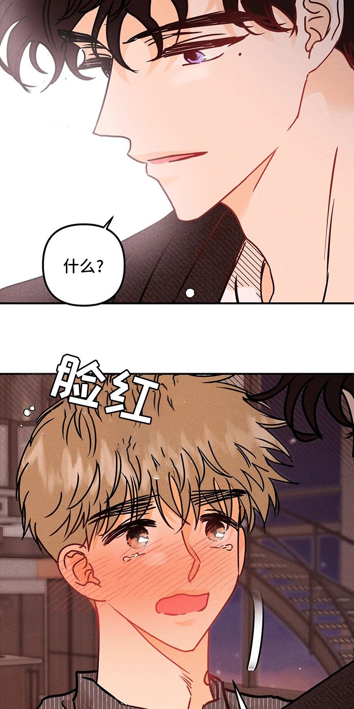第53章：表白