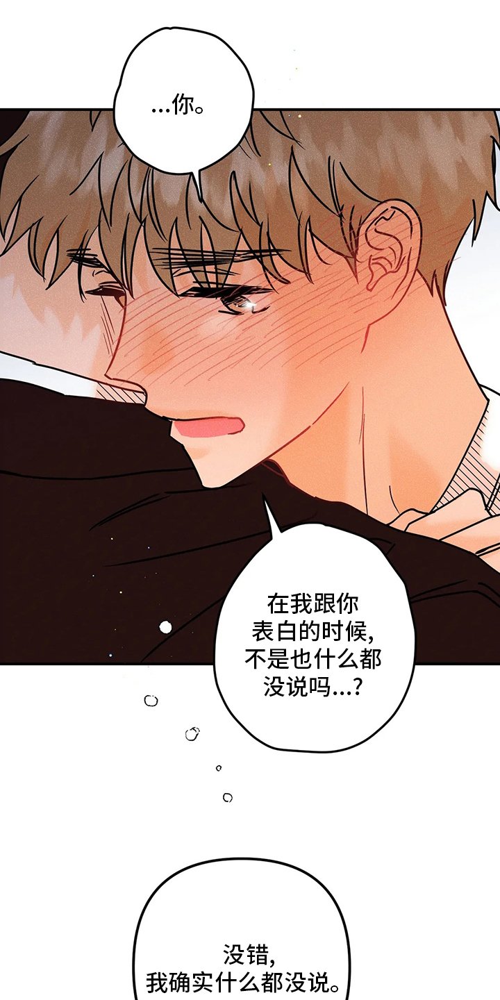 第62章：【完结】初恋