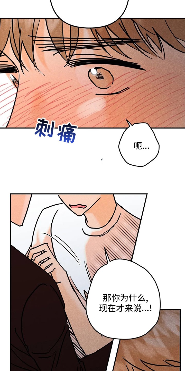 第62章：【完结】初恋
