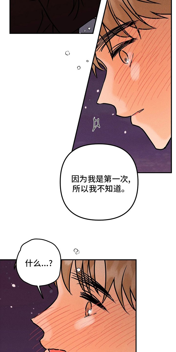 第62章：【完结】初恋