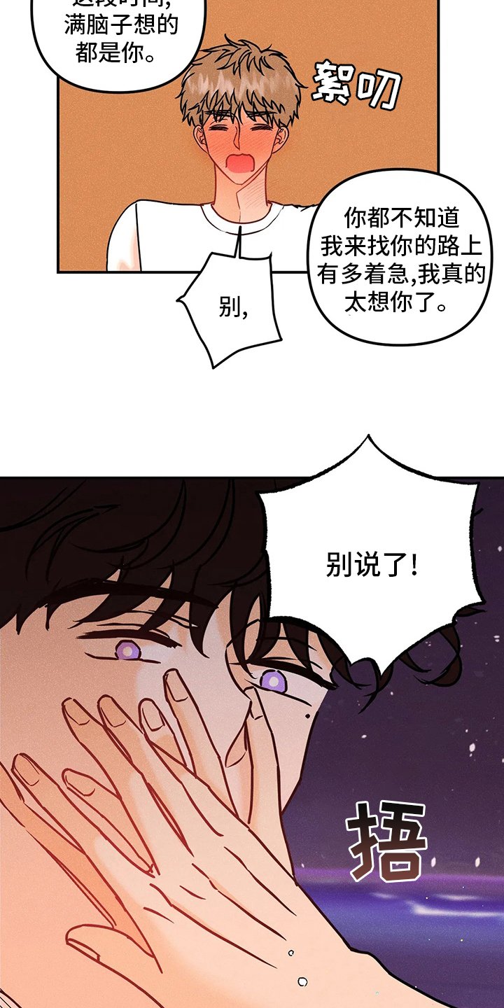 第62章：【完结】初恋