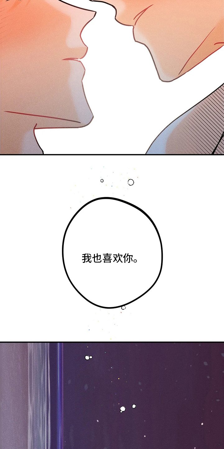 第62章：【完结】初恋