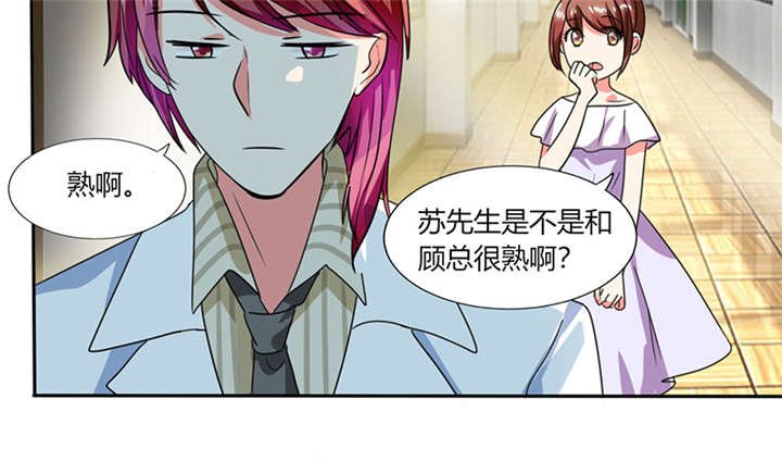 第19章：苏先生的过往