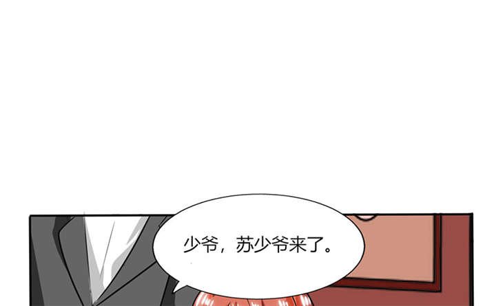 第19章：苏先生的过往
