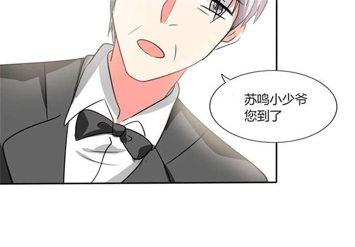 第19章：苏先生的过往
