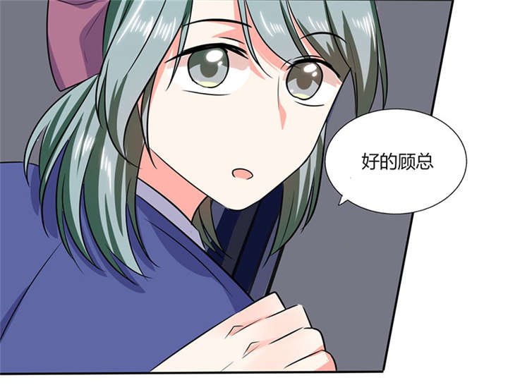 第22章：暴力的顾总