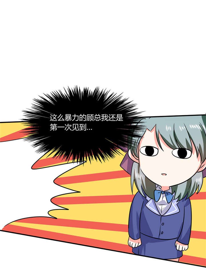 第22章：暴力的顾总