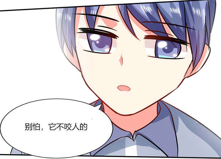 第26章：番外三：你的名字是……