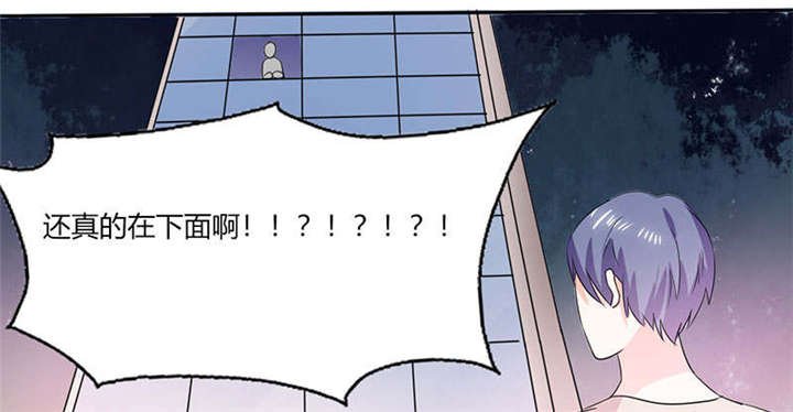 第41章：总裁的豪宅