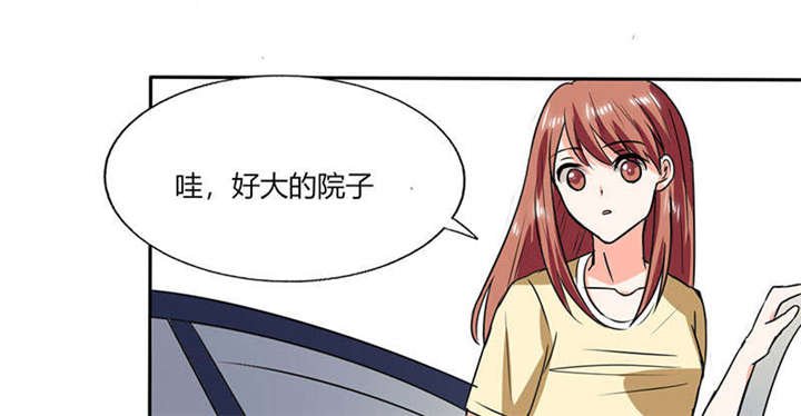 第41章：总裁的豪宅