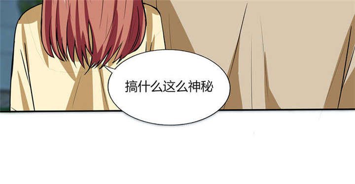 第41章：总裁的豪宅