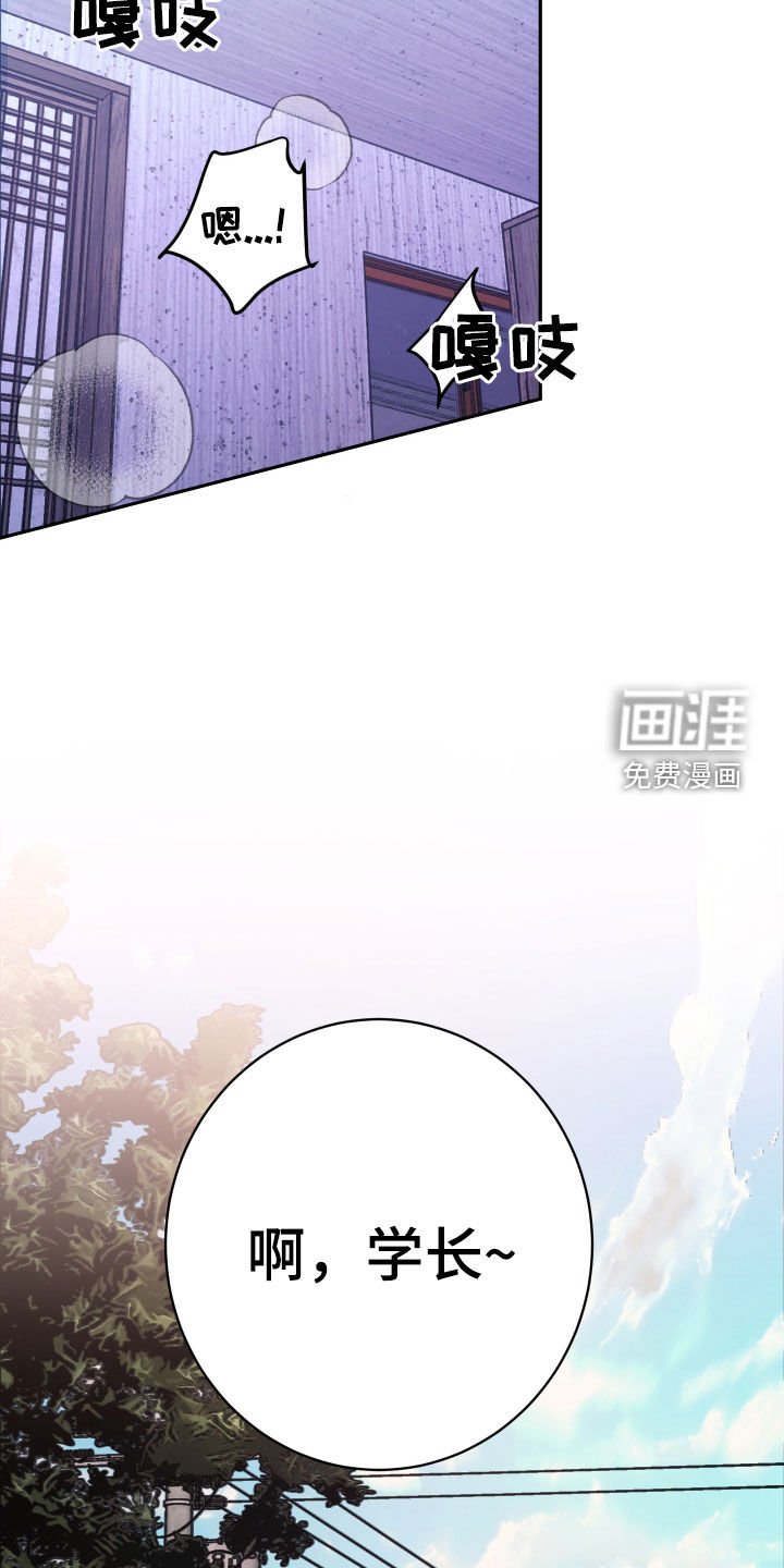 第49章：【番外】墓园