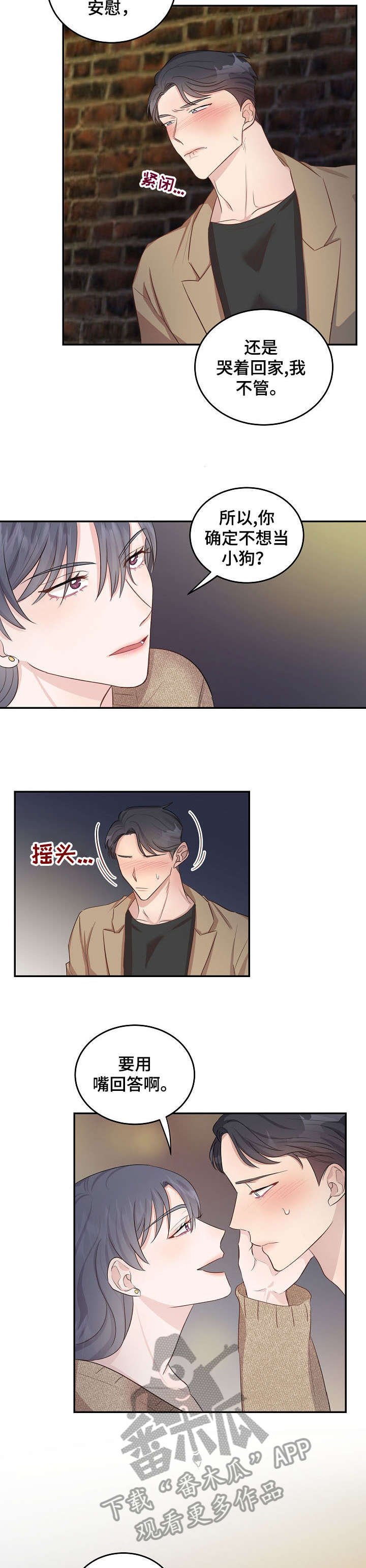 第10章：解释