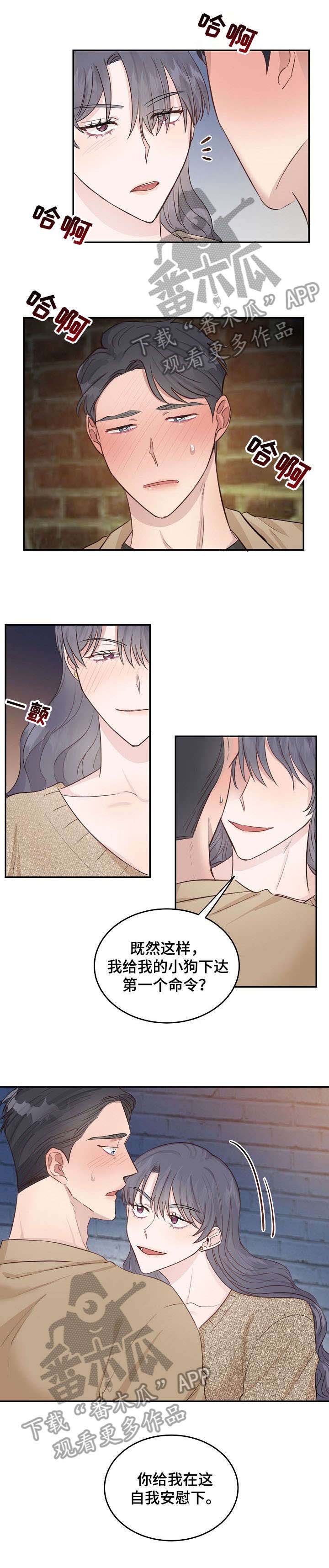 第10章：解释