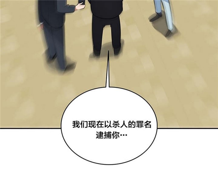 第65章：逮捕