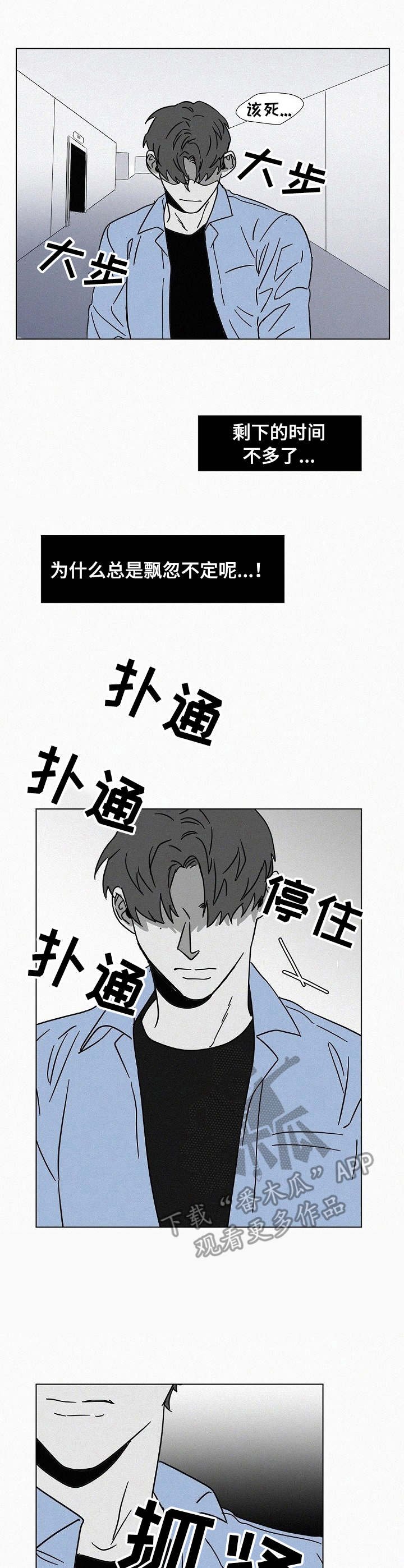 第11章：飘忽不定