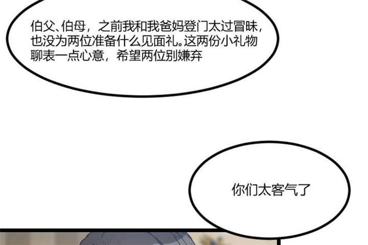 第38章：见父母