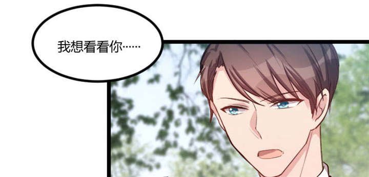 第51章：婚礼
