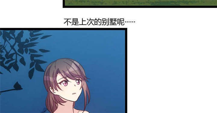 第53章：精神补偿费