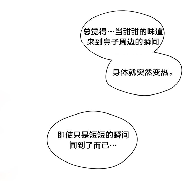 第23章：假设