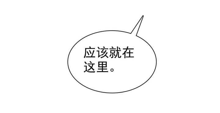 第106章：抢孩子