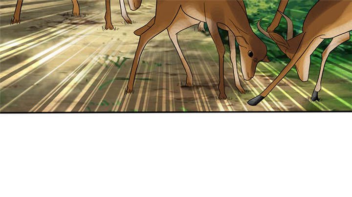 第109章：那就拼命吧！