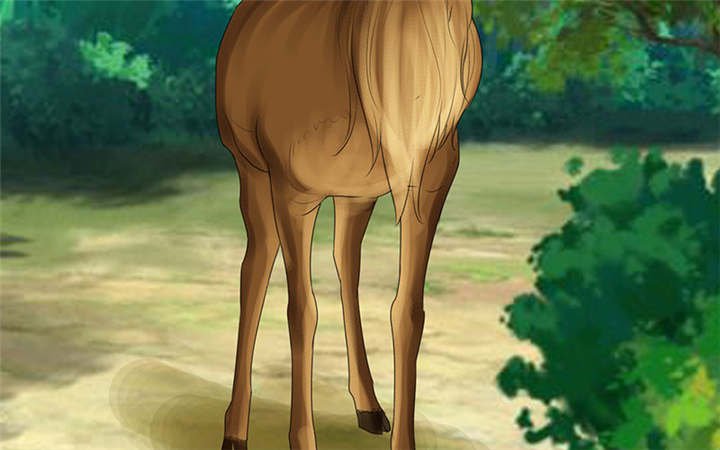 第110章：高估了日本人