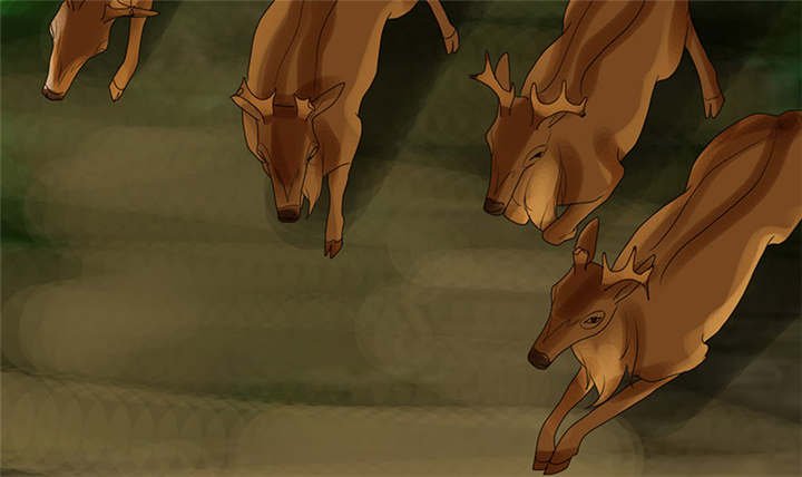 第113章：追的还真快。