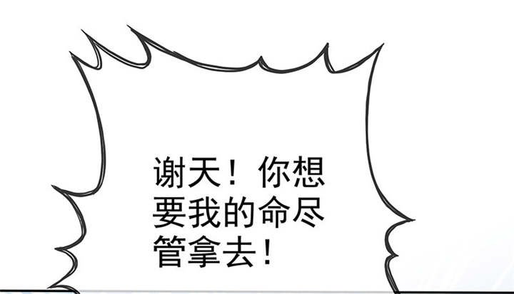 第114章：安澜坠崖