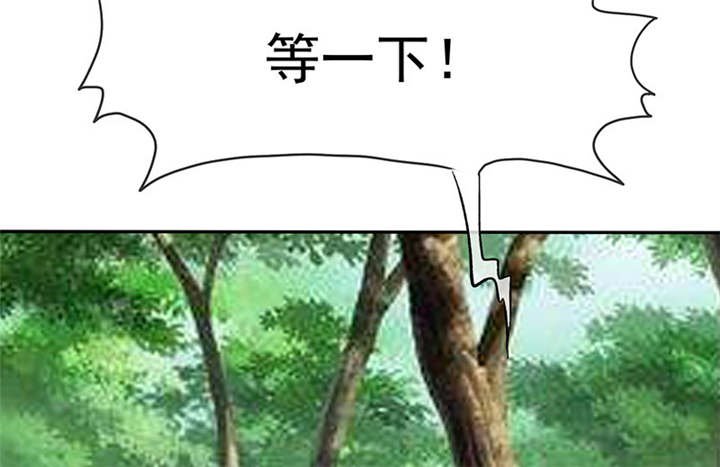第114章：安澜坠崖