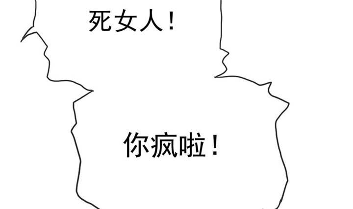 第114章：安澜坠崖