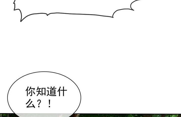 第114章：安澜坠崖