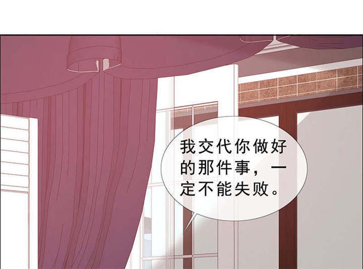 第135章：这次，不能失败！