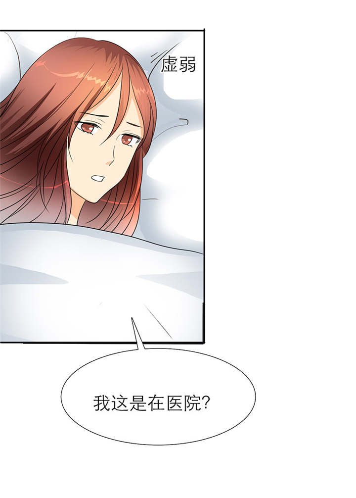 第29章：你怀孕了，3个月