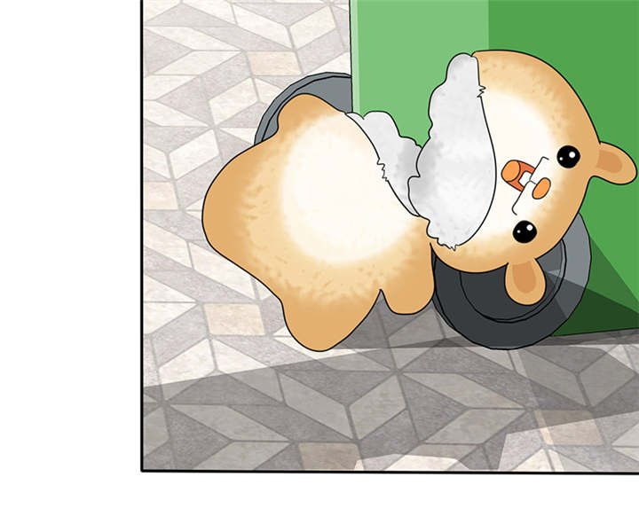 第49章：番外篇2：姐妹记忆