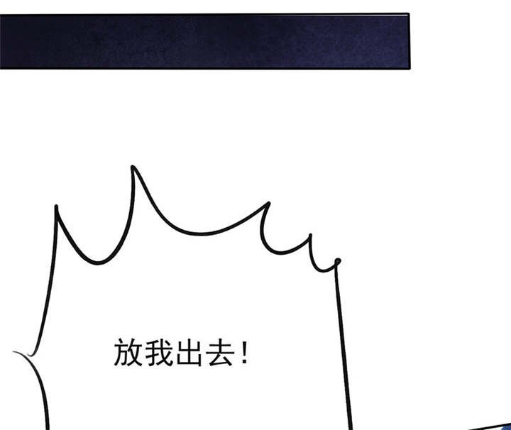 第84章：剖腹产