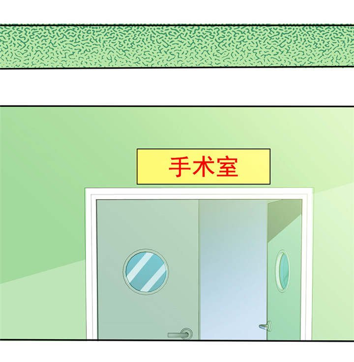 第84章：剖腹产