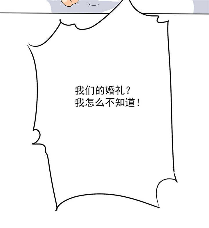 第90章：你愿意嫁给我吗？
