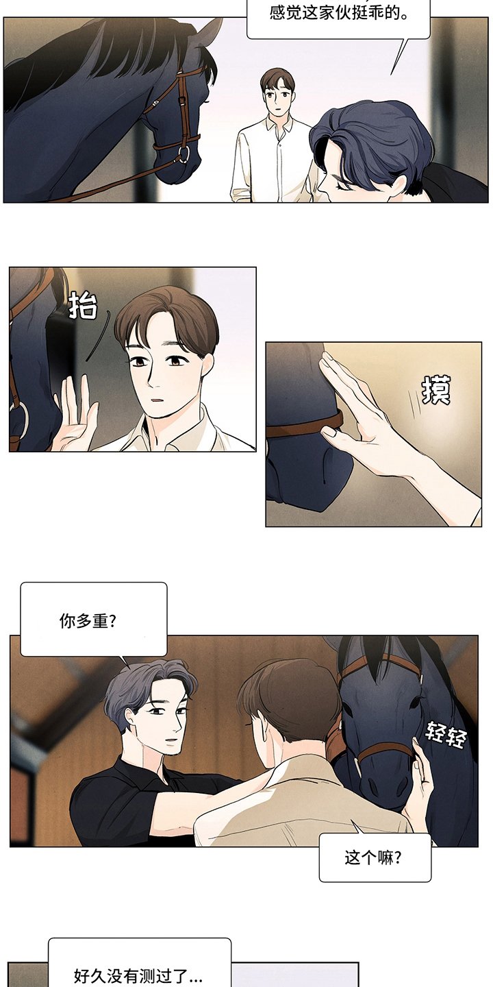 第86章：骑马