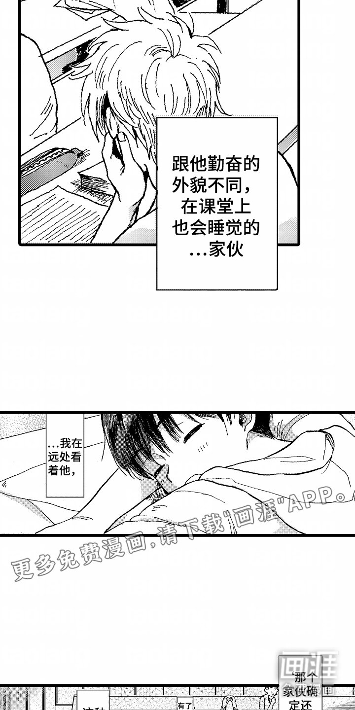 第12章：一朵小花