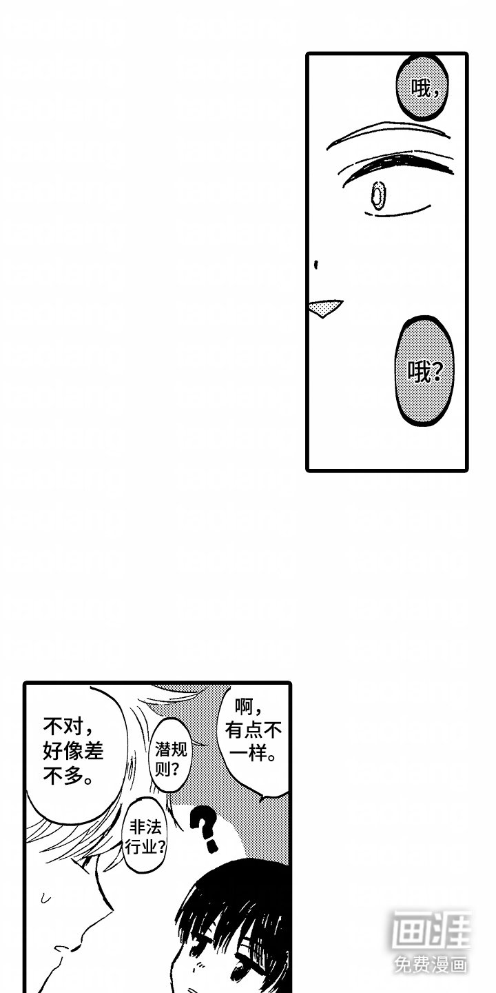 第12章：一朵小花