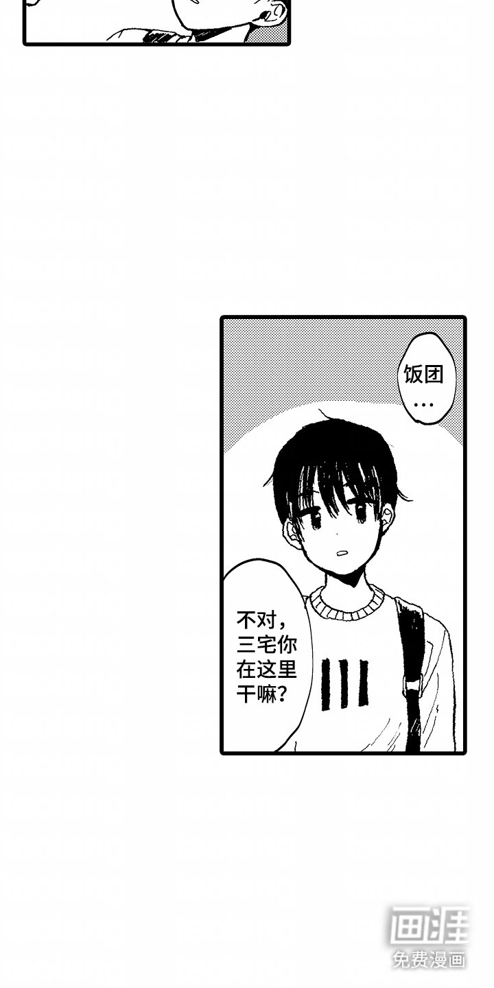 第12章：一朵小花