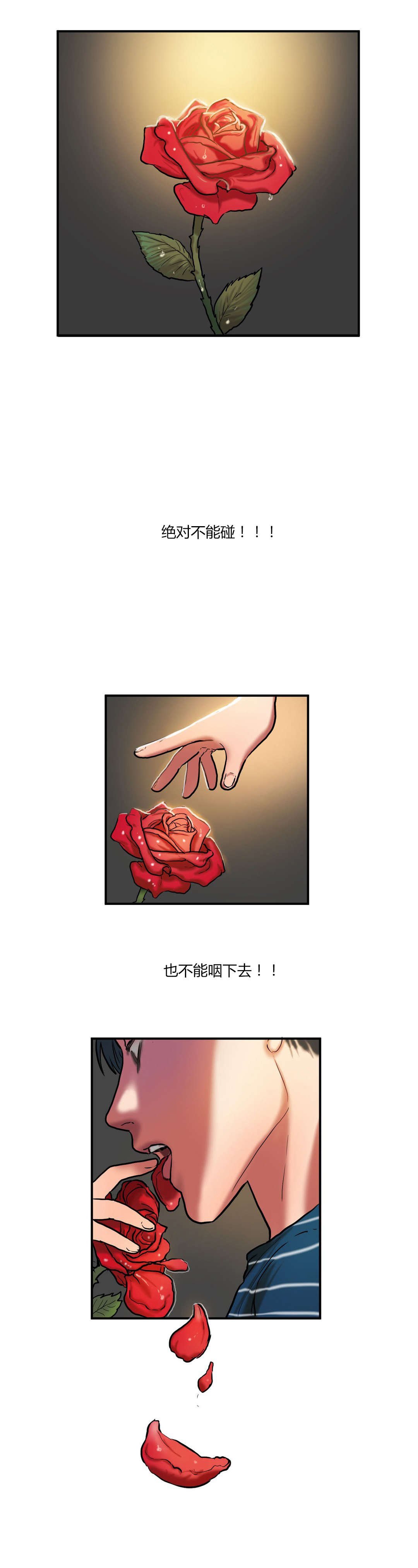 第55章：没有必要的坚持