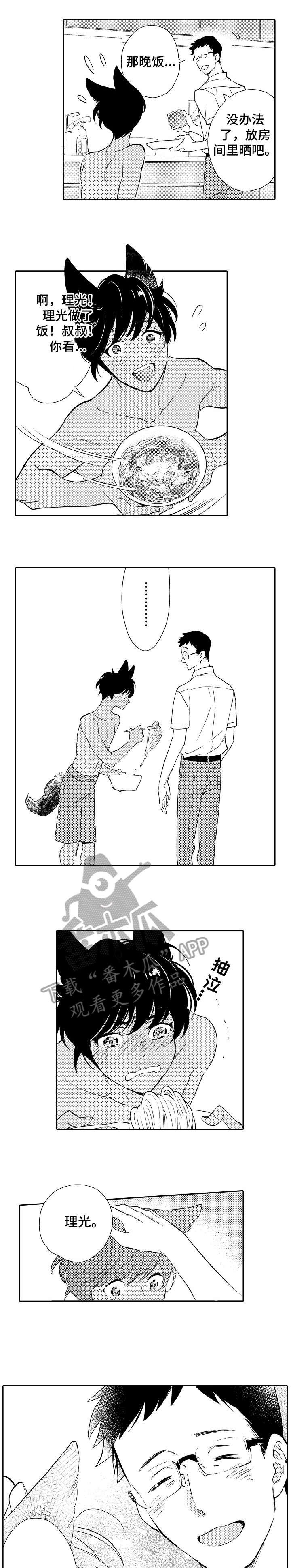 第11章：发烧