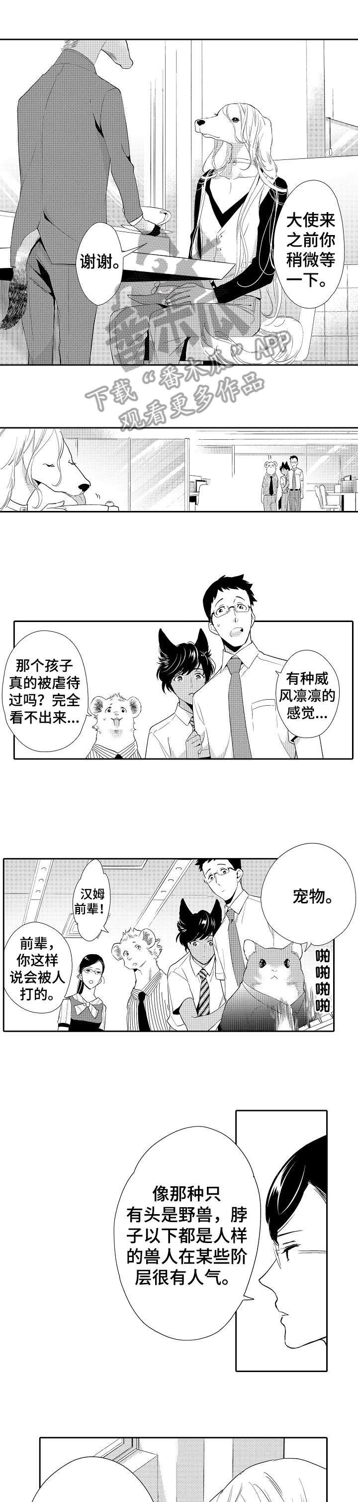 第13章：看穿