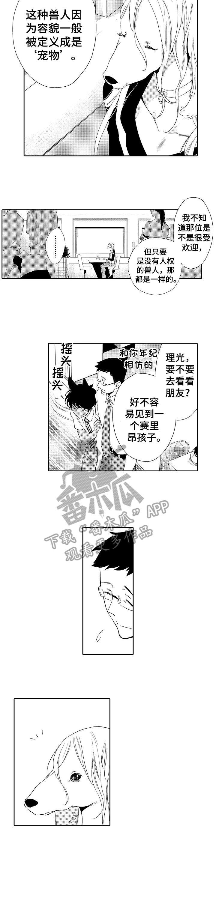 第13章：看穿