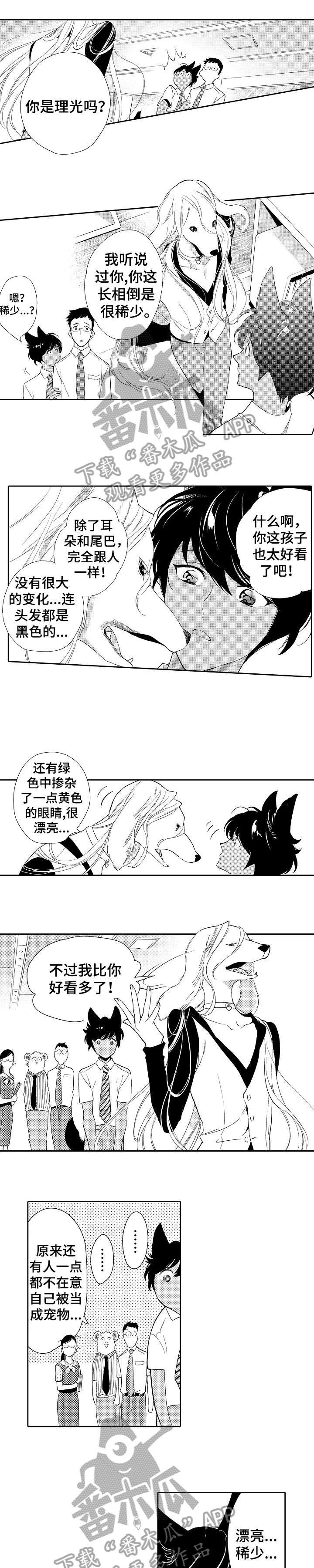 第13章：看穿